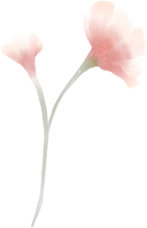 Pink Flower Watercolor Illustration