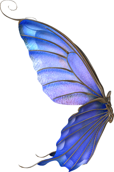 3D Butterfly Illustration 