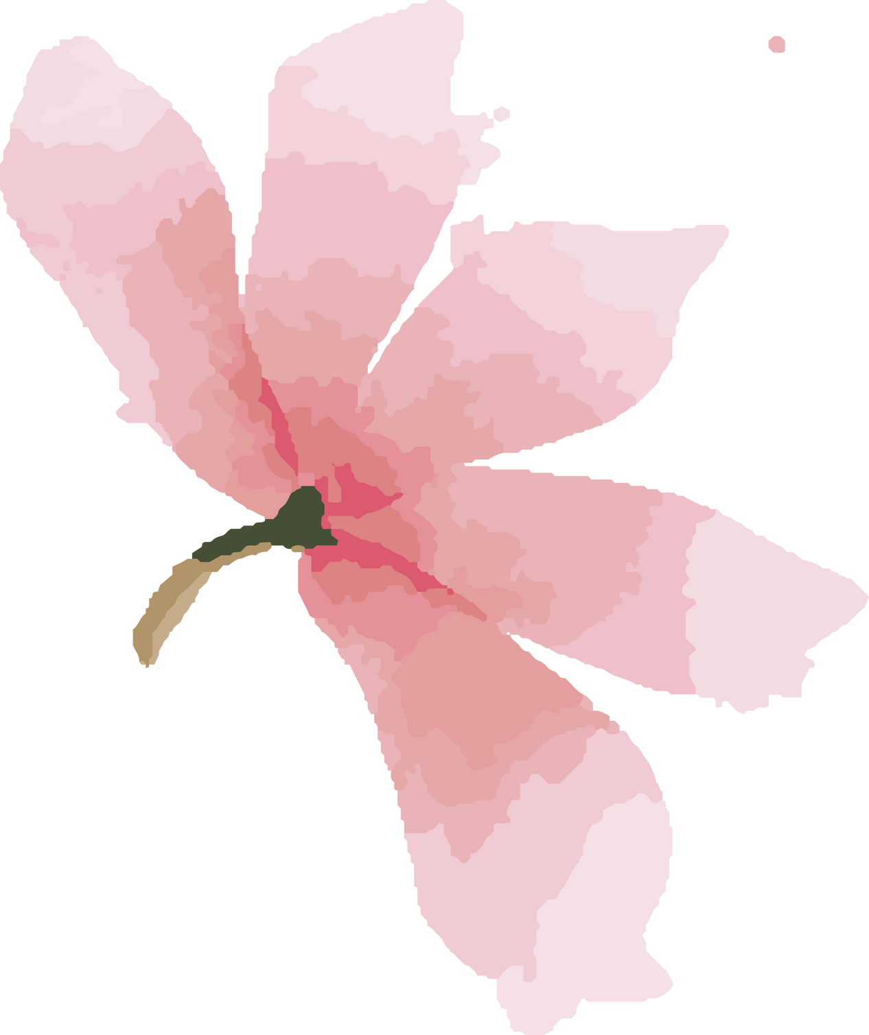 Pink Flower Digital Illustration